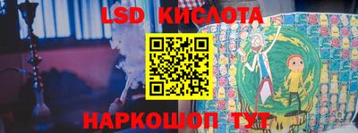стафф Гатчина