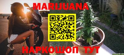 гидропоника Гусиноозёрск