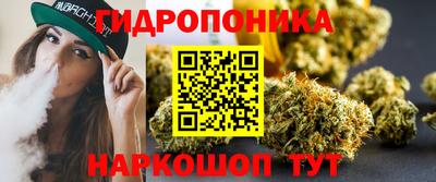 прущие грибы Канаш