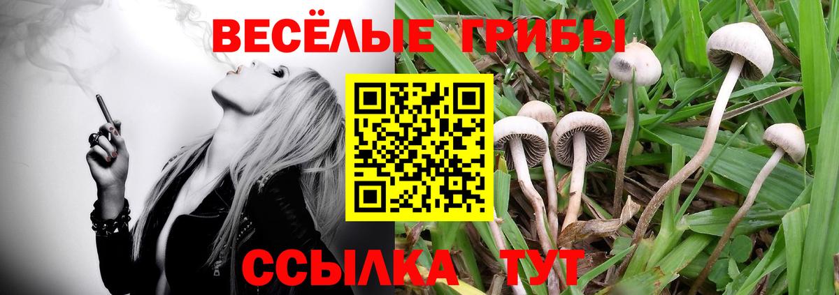Псилоцибиновые грибы прущие грибы Каменка