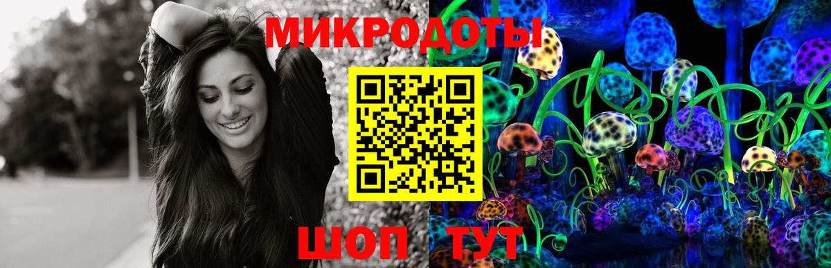 Галлюциногенные грибы ЛСД  Псилоцибиновые грибы ЛСД  цена   Вход с VPN  Каменка 